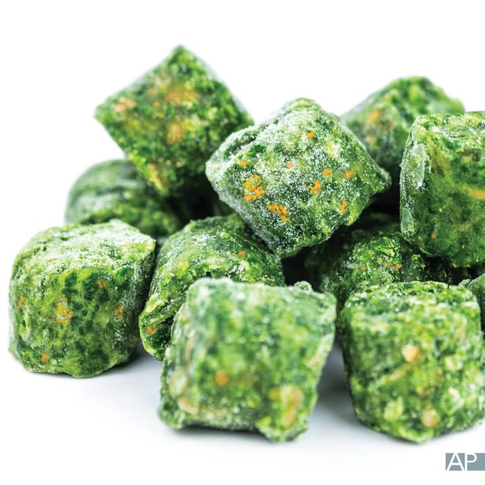 The Science of Nutrient Retention: Is Raw or Gently Cooked Pet Food Better?  