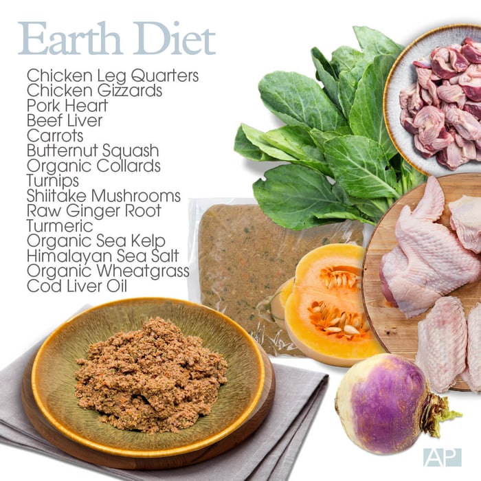 The Fire Element and Diet in TCVM