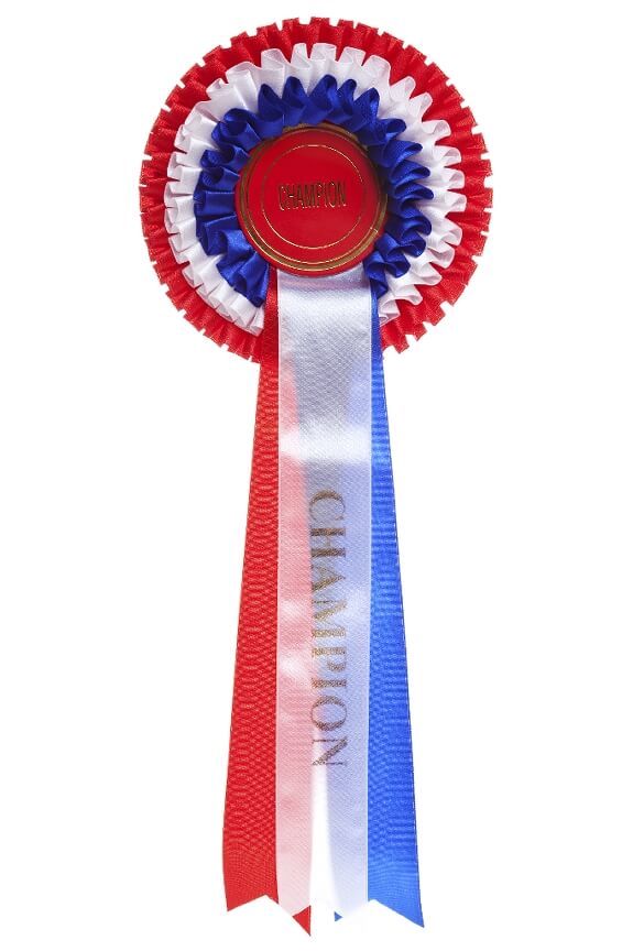 adtran netvanta 1535p