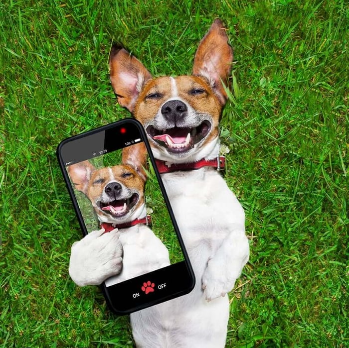BYOD Is All Rainbows And Unicorns Until This Happens!