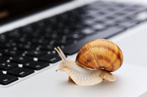 Why is Your University WiFi So Slow?