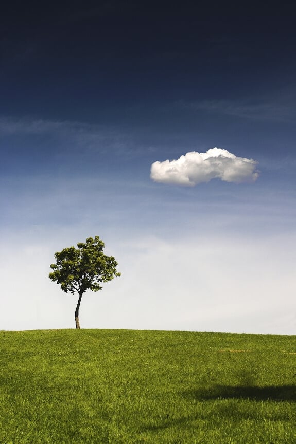 The Network Buzz: What's New In Wifi Capability