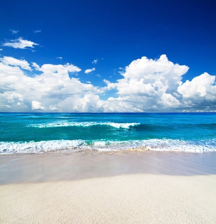 best wireless network