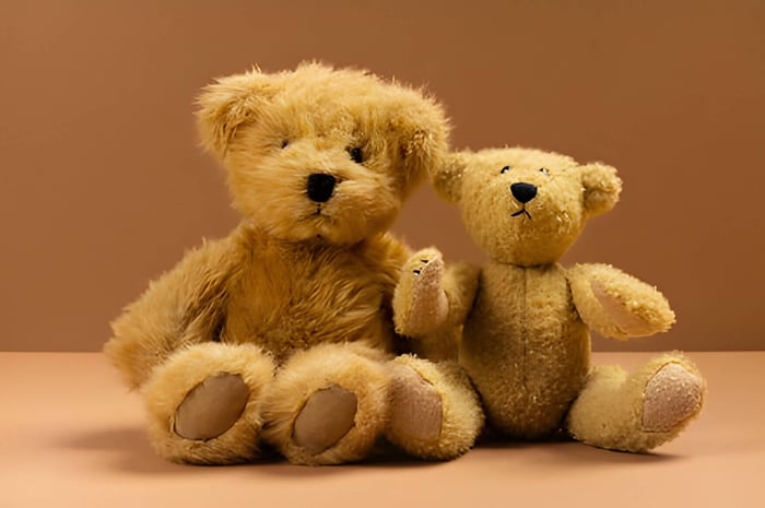 2 brown teddy bears