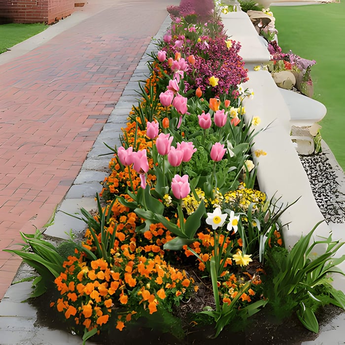 pretty and colourful garden boarder filled with flowers