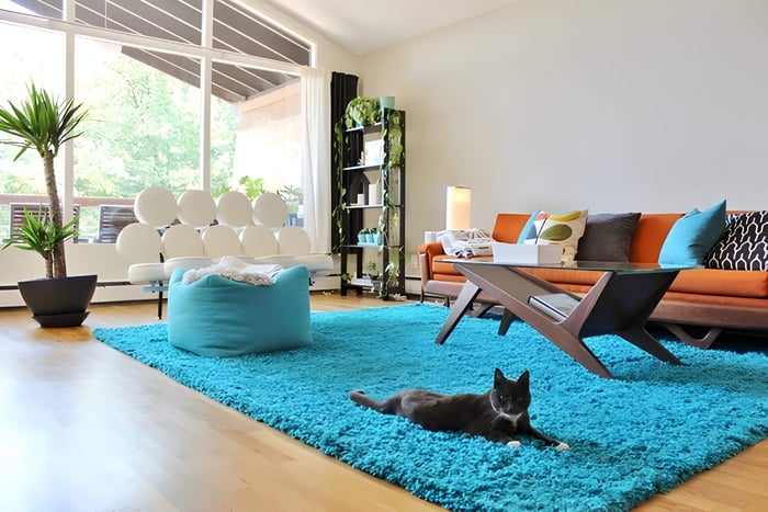 Mix and match mid-century modern furniture with bold, patterned cushions and a shag rug in a lounge area
