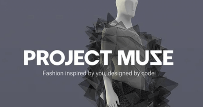 Project Muze
