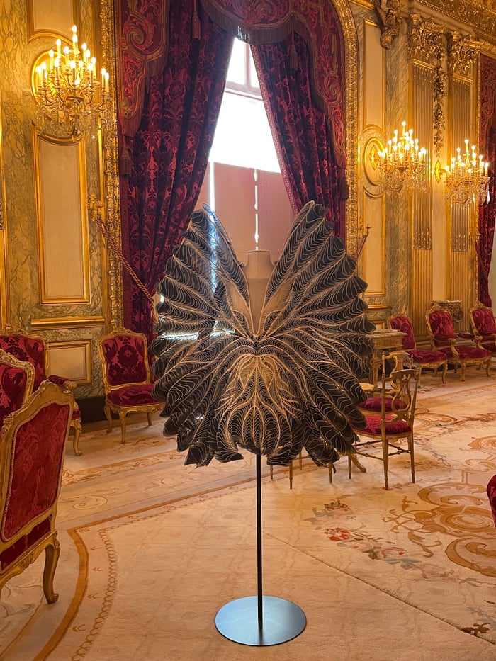 iris van herpen dress