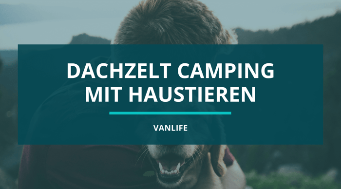 Dachzelt-Camping mit Haustieren: Dein tierischer Begleiter für dein kommendes Abenteuer