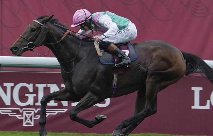 Bluestocking-supplémenté