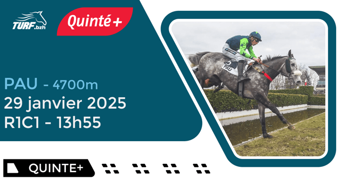 Quinté Pau : Analyse et Pronostic du 29 Janvier 2025