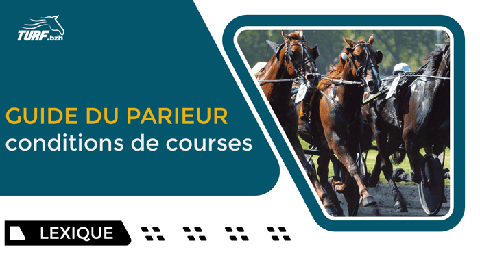 Conditions de course au galop et trot : guide complet du parieur