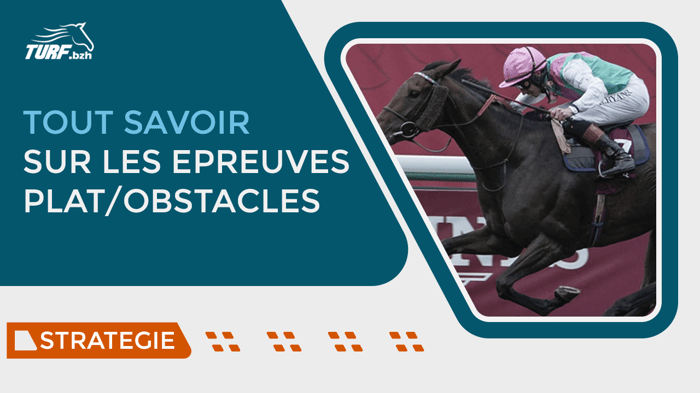Comprendre les types de courses de galop pour bien parier #1