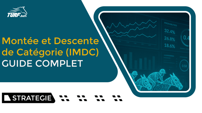 IMDC : guide complet pour comprendre la catégorie du cheval