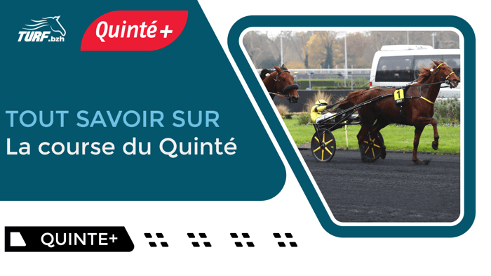 Quelles sont les conditions pour courir un Quinté+ PMU ?