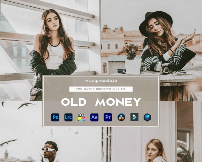 Old Money Preset Collection