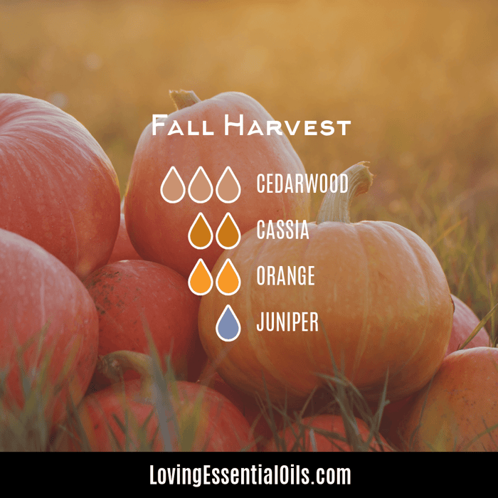 fall harvest diffuser recipe