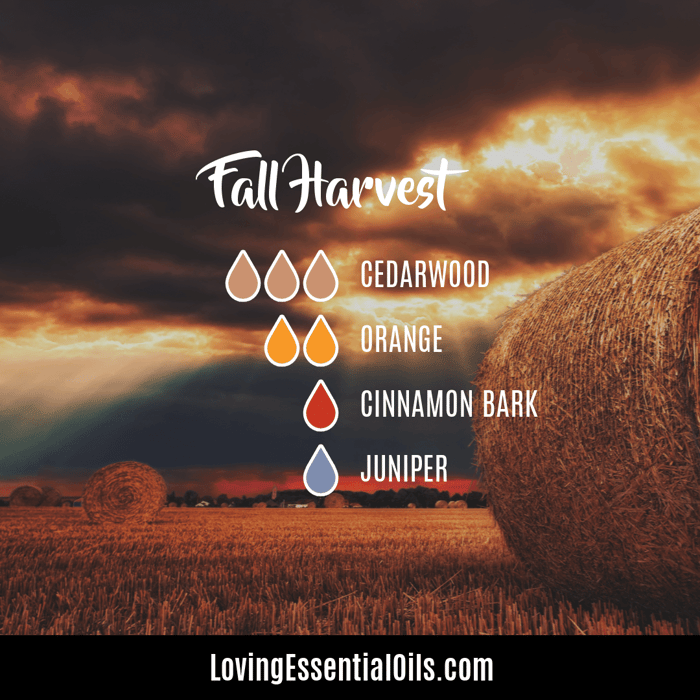fall harvest diffuer recipes