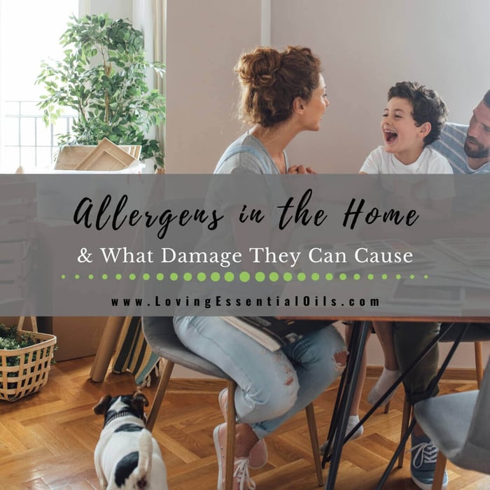 Allergens in the Home & What Damage They Can Cause