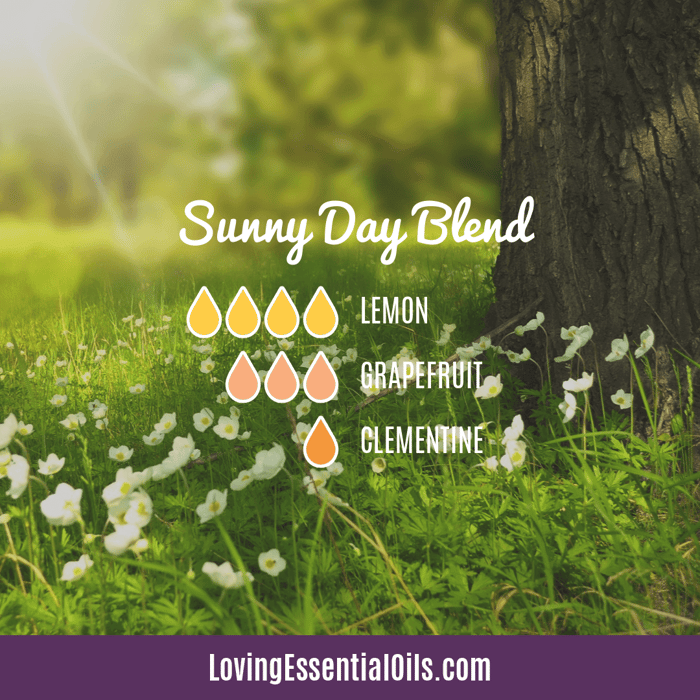 Sunny Day Essential Oil Blend Recipes and Benefits