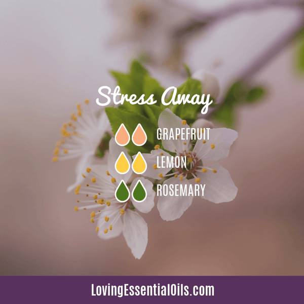 Stress Away Diffuser Blend by Loving Essential Oils with Rosemary