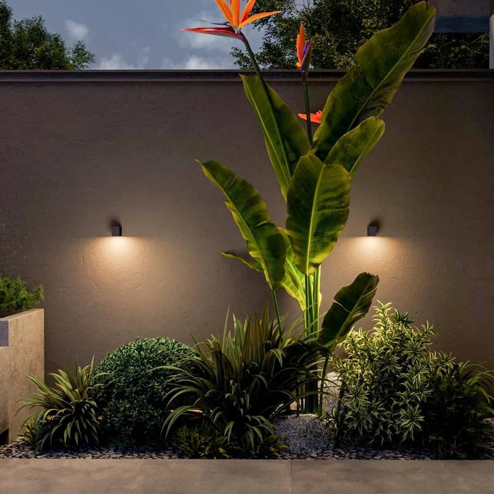 Two small outdoor wall lights washing a rendered wall behind tropical plants at dusk.