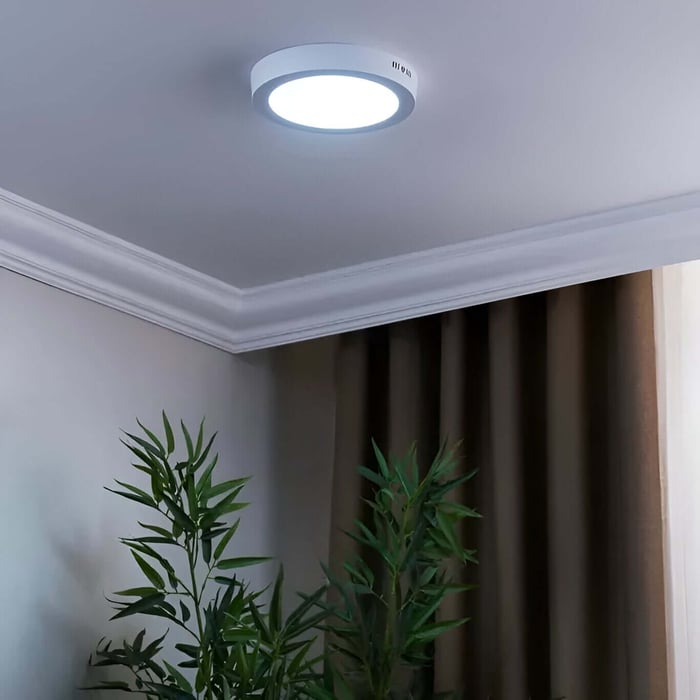 Round surface-mounted LED ceiling light in a room with grey walls, curtain, and indoor plants.