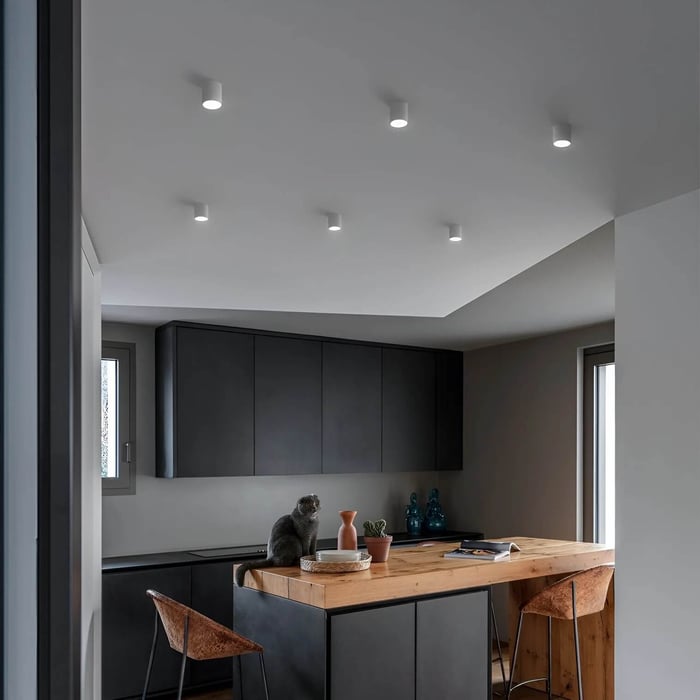 Contemporary kitchen with white ceiling downlights above a wooden island, dark cabinets, and a cat on the worktop.