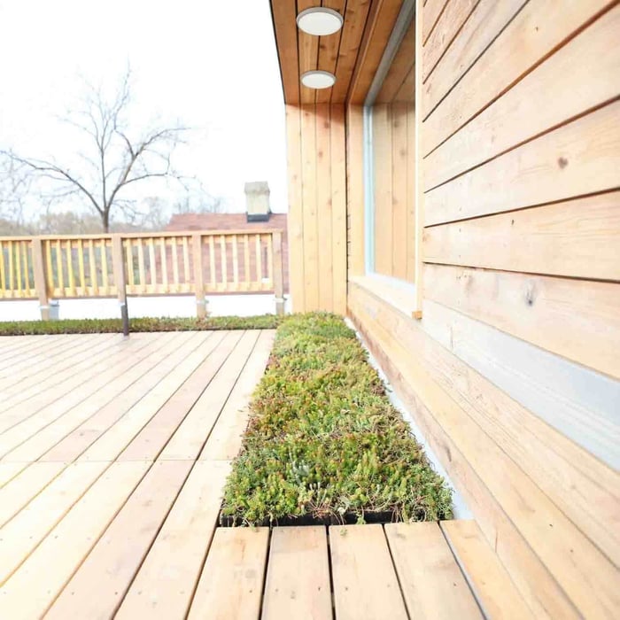 Timber-clad exterior with two round outdoor ceiling lights above a deck walkway.