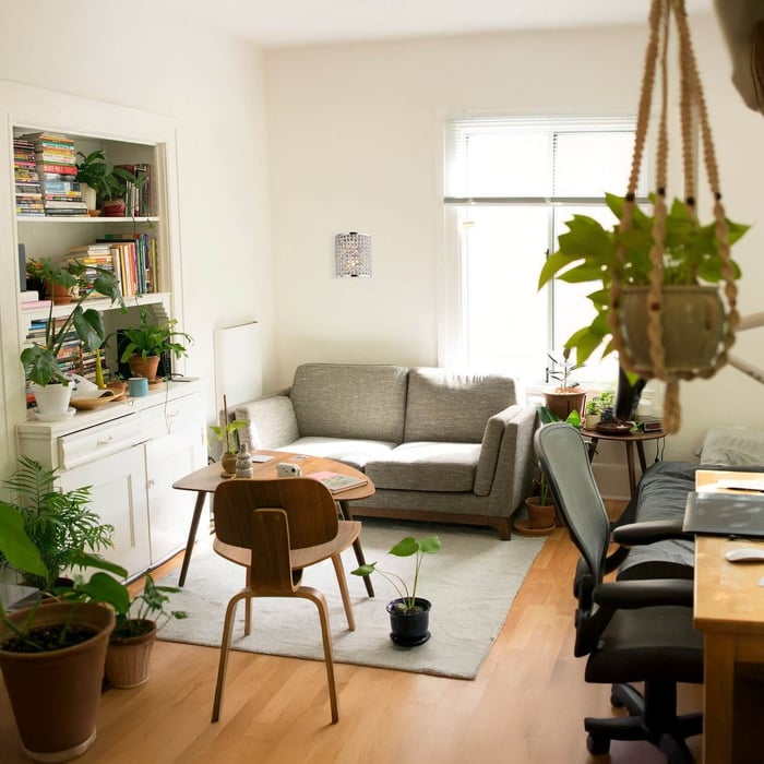 Cozy living space filled with plants, gray sofa, and small crystal wall sconce.