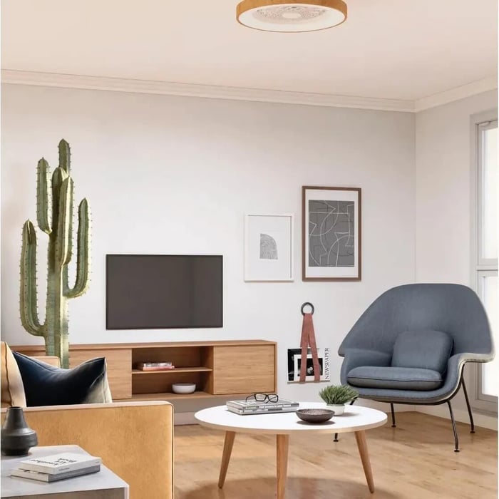 Compact ceiling fan light in a cozy mid century style living room with cactus décor.