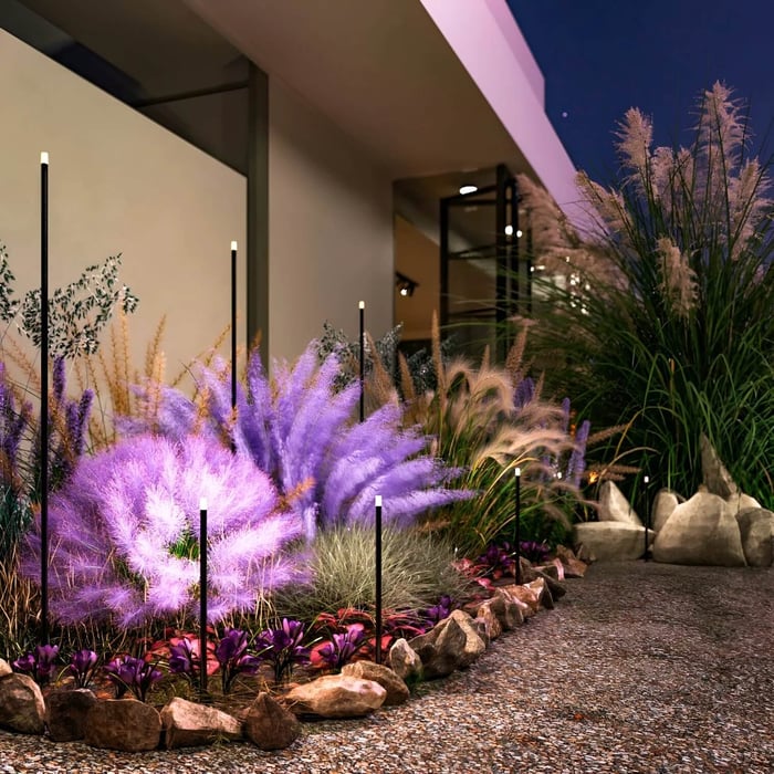 Contemporary garden path with slim stake lights highlighting planting at dusk.