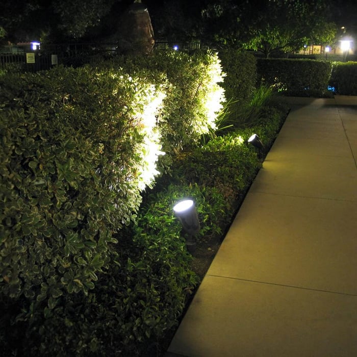 Ground spotlight highlighting a hedge along a pathway in a landscaped garden.