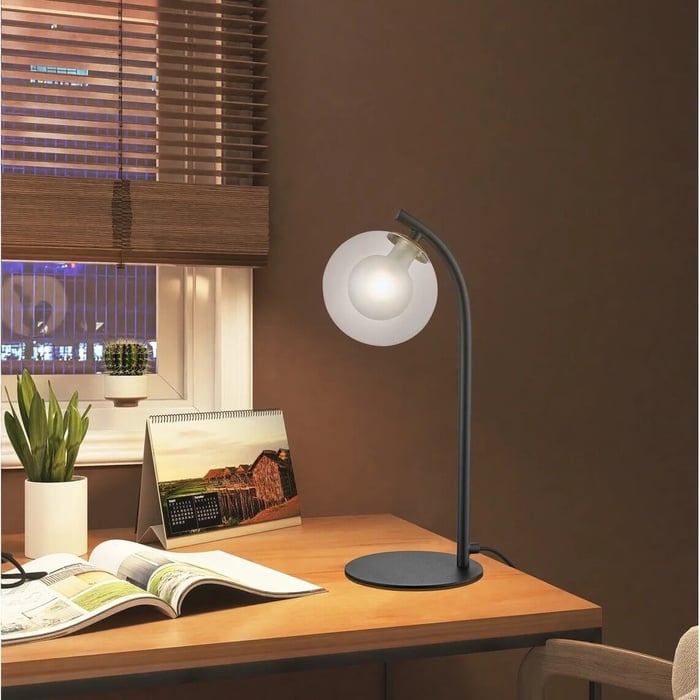 Black globe desk lamp on a wooden study table near a window, with books and a small plant.