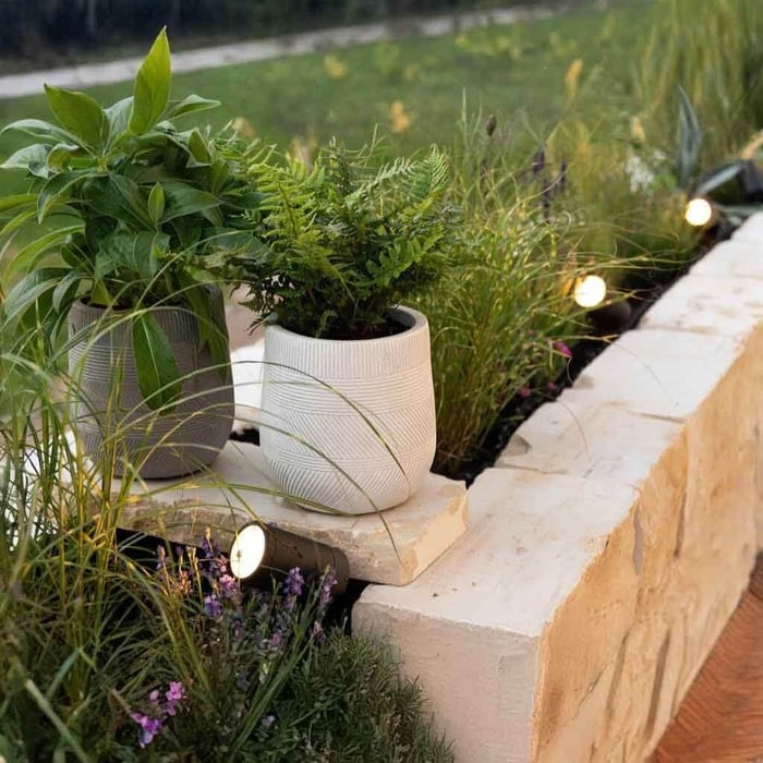 Warm outdoor ground spotlights lighting potted plants and grasses along a stone garden border.