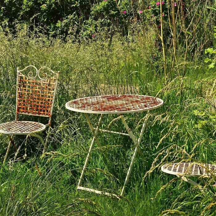Outdoor café table and chairs surrounded by tall natural grasses — a visual nod to regenerative brands that embrace nature-first living.