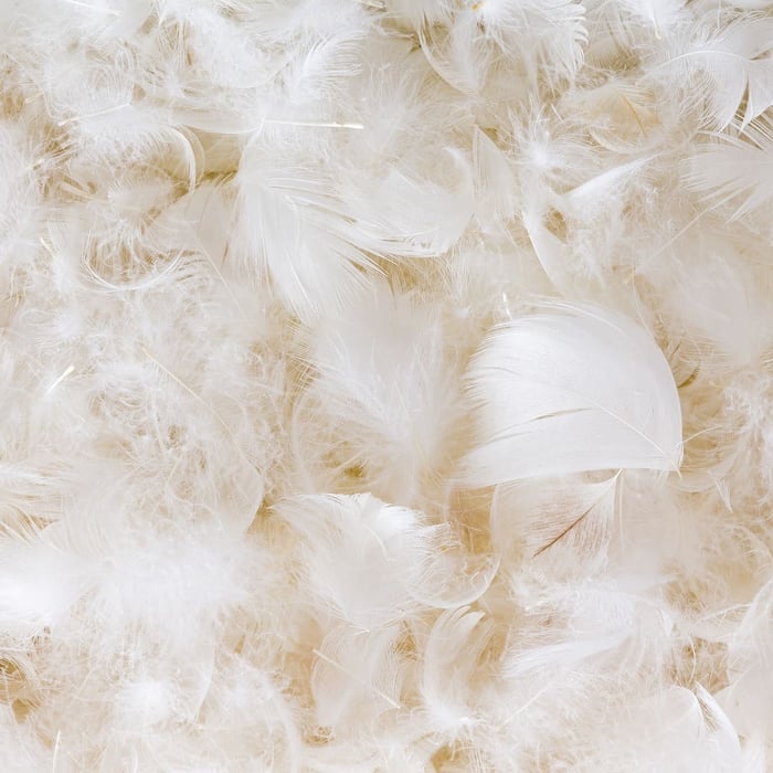 Down Comforter Allergy Symptoms: What to Look For & What to Do Next