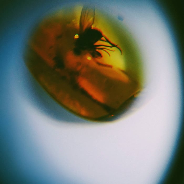 Album cover for April + VISTA — Traditional Noise