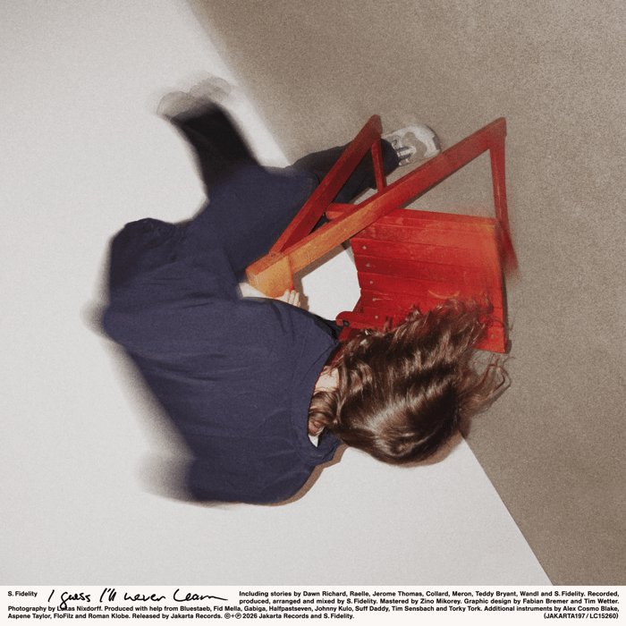 Album cover for I Guess I’ll Never Learn by S. Fidelity