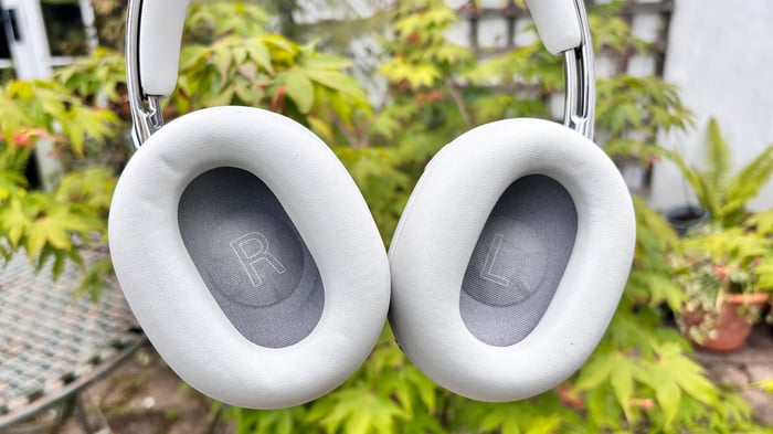 Sony 1000X The Collexion wireless headphones in front of garden plant with inner view