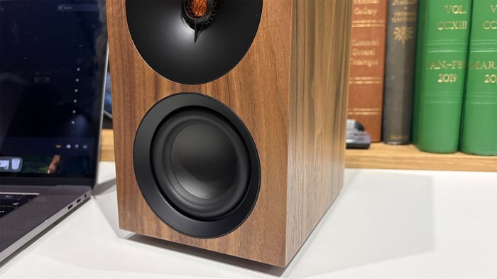Close detail of the mid/bass driver.