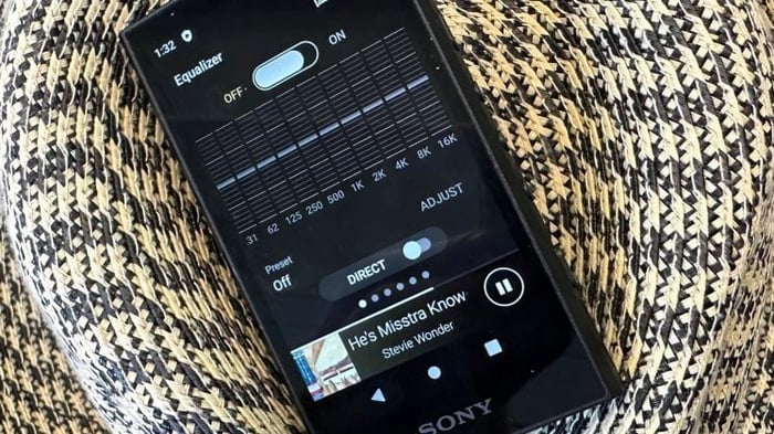 Sony NW-A306 now playing menu