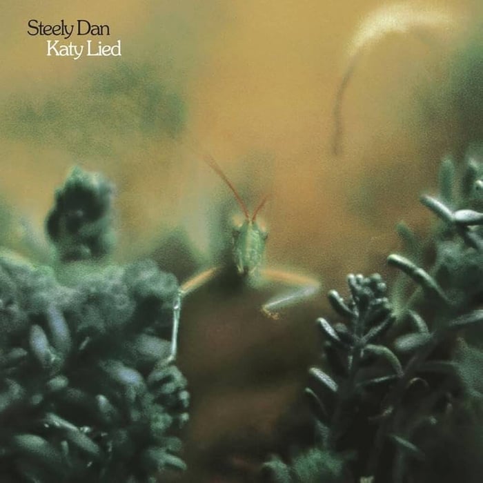 Katy Lied album cover