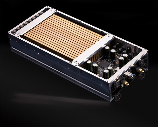 The Sentinel DAC - Mono DAC Module