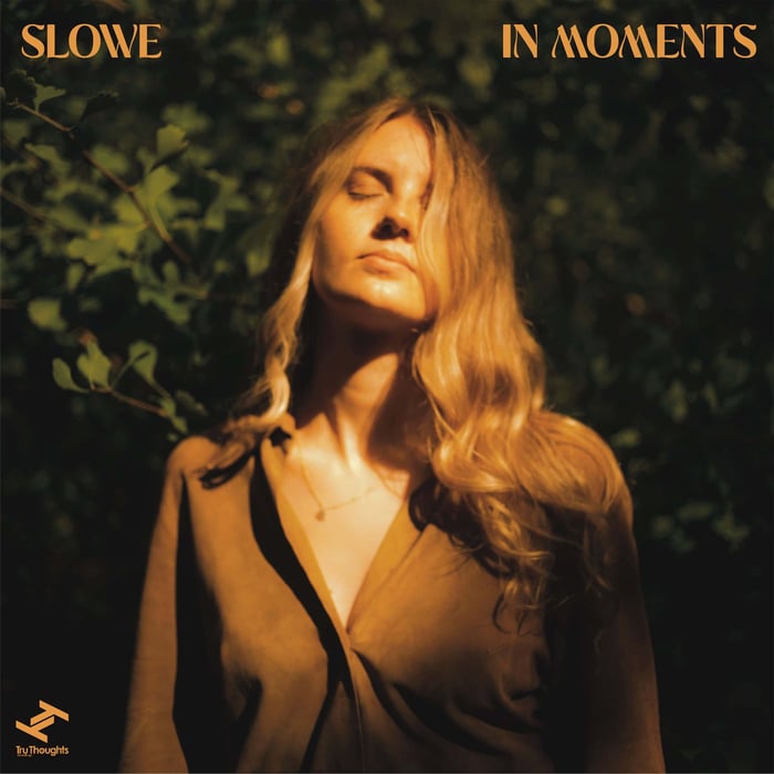 In Moments album cover by Slowe