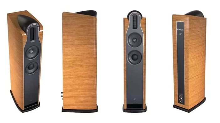 Floor-standing Jean-Marie Reynaud Auralis speakers