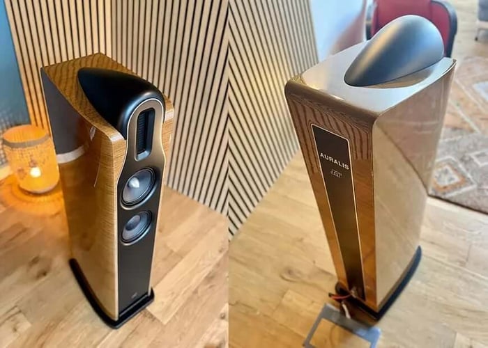 Detailed view of the Jean-Marie Reynaud Auralis speakers