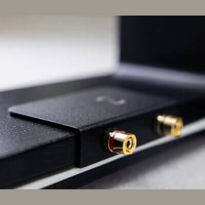 Elegant and precise crossover and terminal assembly visible through the rear glass panel.