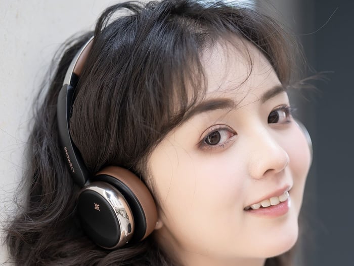 Fiio SNOWSKY Anytime Headphones