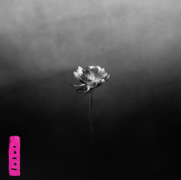 Little Simz ‘Lotus’ album artwork. Credit: PRESS